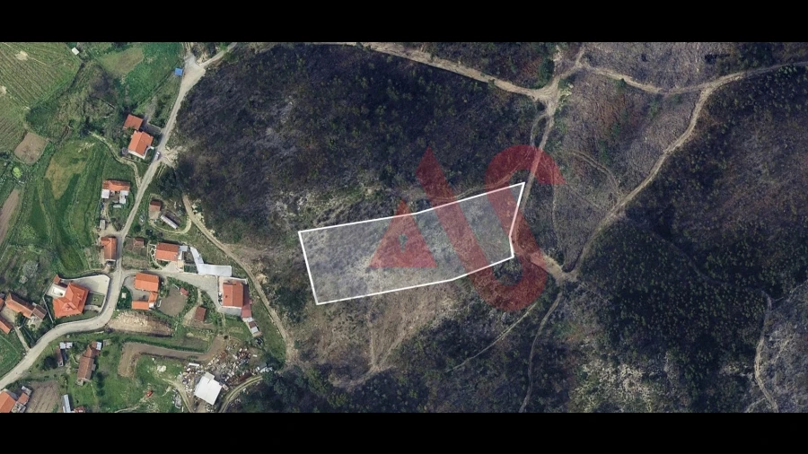 Terreno para Venda em Silvares, Pias, Nogueira e Alvarenga