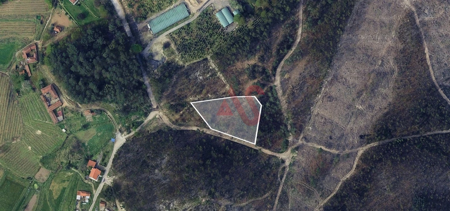 Terreno para Venda em Silvares, Pias, Nogueira e Alvarenga Foto 1