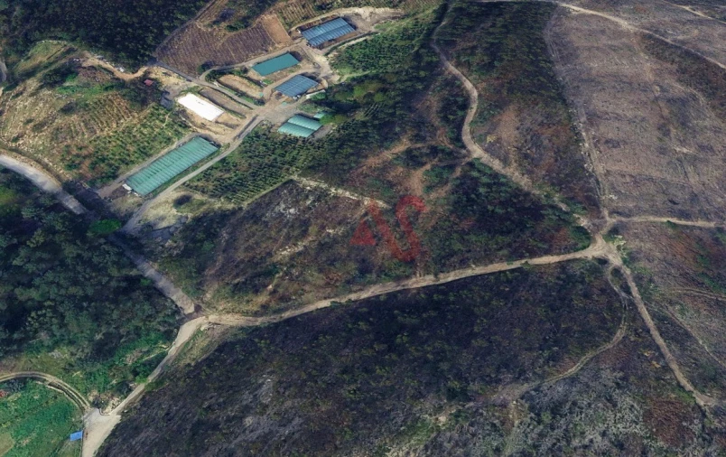 Terreno para Venda em Silvares, Pias, Nogueira e Alvarenga Foto 2