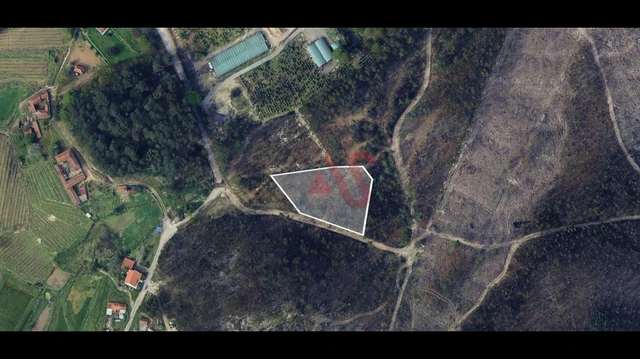 Terreno para Venda em Silvares, Pias, Nogueira e Alvarenga