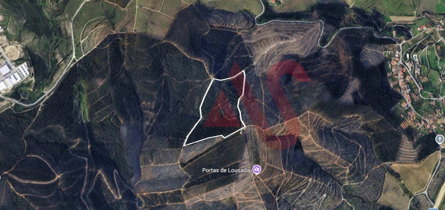 Terreno para Venda em Silvares, Pias, Nogueira e Alvarenga Foto 1