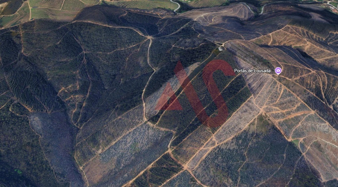 Terreno para Venda em Silvares, Pias, Nogueira e Alvarenga Foto 2