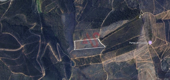 Terreno para Venda em Silvares, Pias, Nogueira e Alvarenga