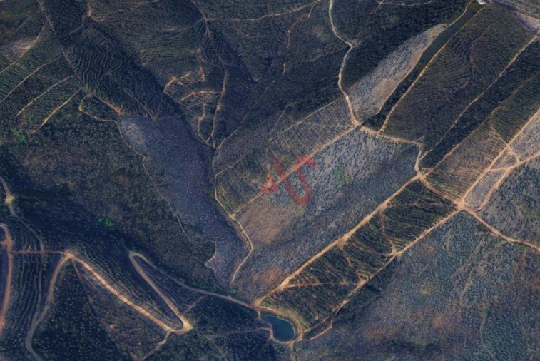 Terreno para Venda em Silvares, Pias, Nogueira e Alvarenga Foto 2