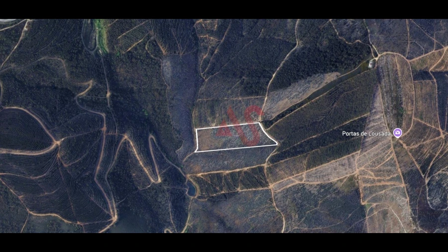 Terreno para Venda em Silvares, Pias, Nogueira e Alvarenga