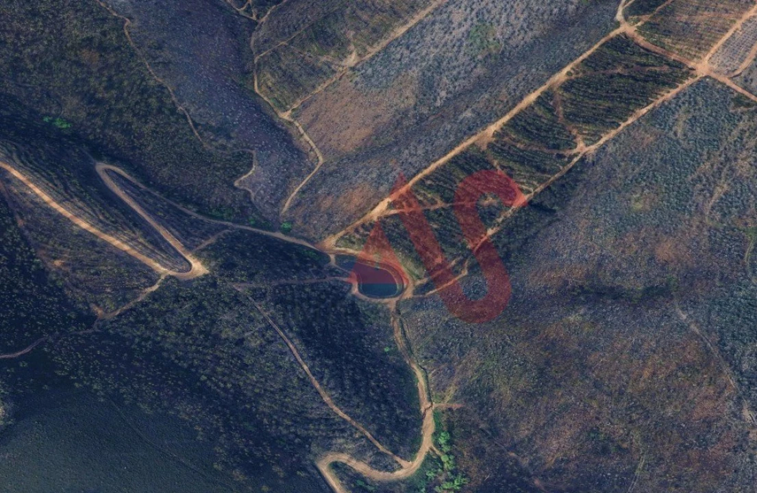 Terreno para Venda em Silvares, Pias, Nogueira e Alvarenga Foto 2