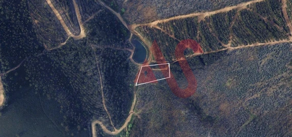 Terreno para Venda em Silvares, Pias, Nogueira e Alvarenga