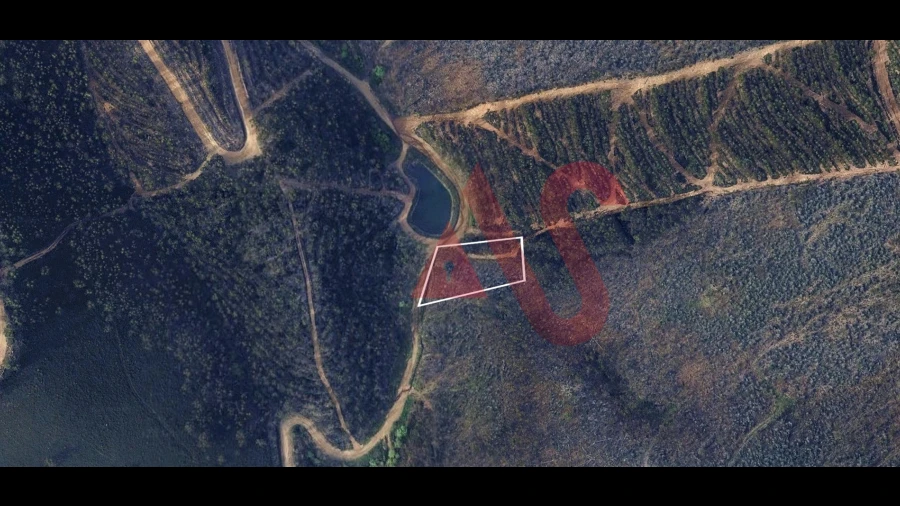 Terreno para Venda em Silvares, Pias, Nogueira e Alvarenga