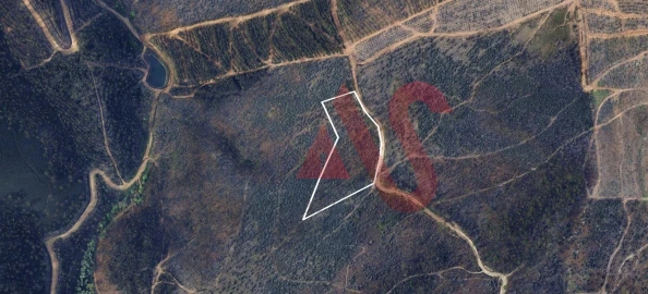 Terreno para Venda em Silvares, Pias, Nogueira e Alvarenga