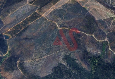 Terreno para Venda em Silvares, Pias, Nogueira e Alvarenga