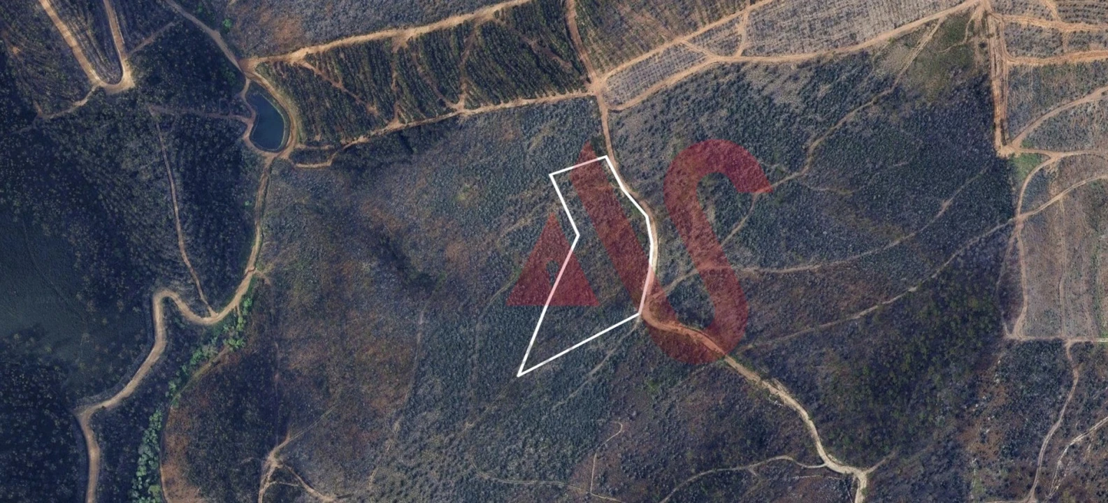 Terreno para Venda em Silvares, Pias, Nogueira e Alvarenga Foto 1