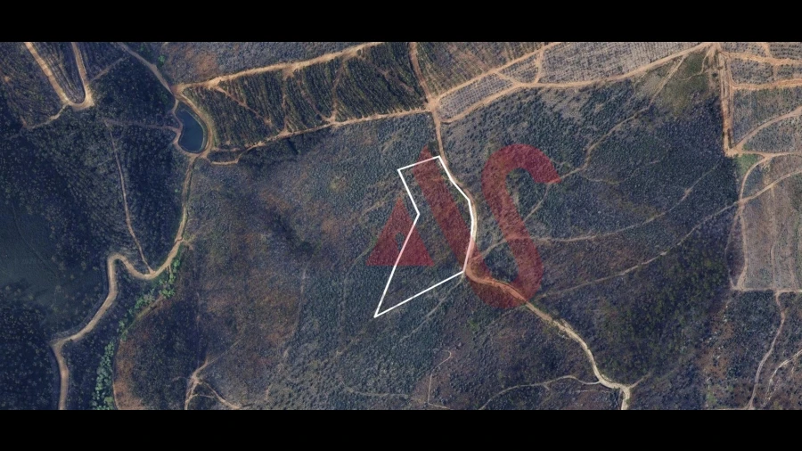 Terreno para Venda em Silvares, Pias, Nogueira e Alvarenga