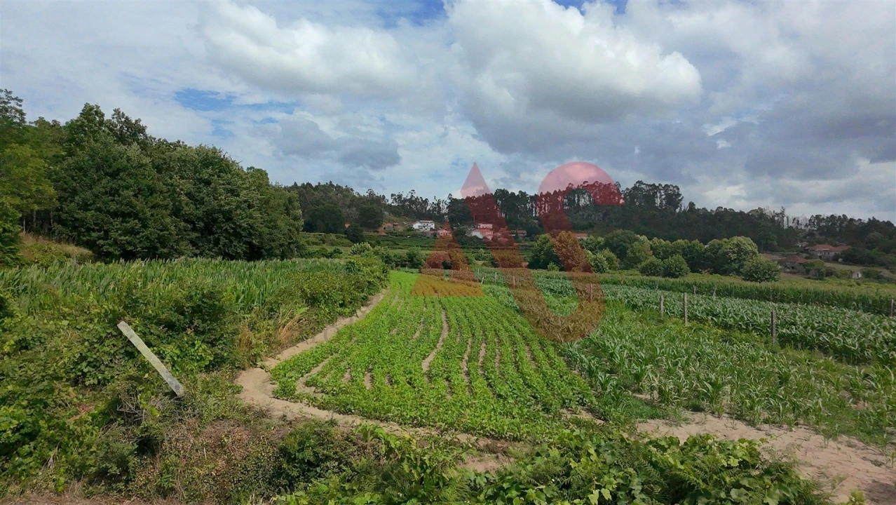 Terreno para Venda em Silvares, Pias, Nogueira e Alvarenga Foto 3