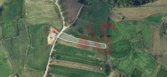 Terreno para Venda em Silvares, Pias, Nogueira e Alvarenga