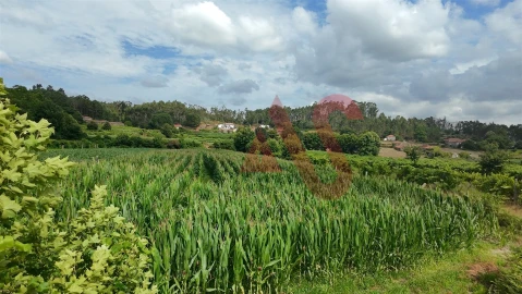 Terreno para Venda em Silvares, Pias, Nogueira e Alvarenga