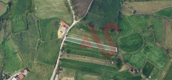 Terreno para Venda em Silvares, Pias, Nogueira e Alvarenga