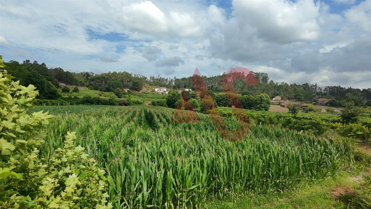 Terreno para Venda em Silvares, Pias, Nogueira e Alvarenga Foto 3