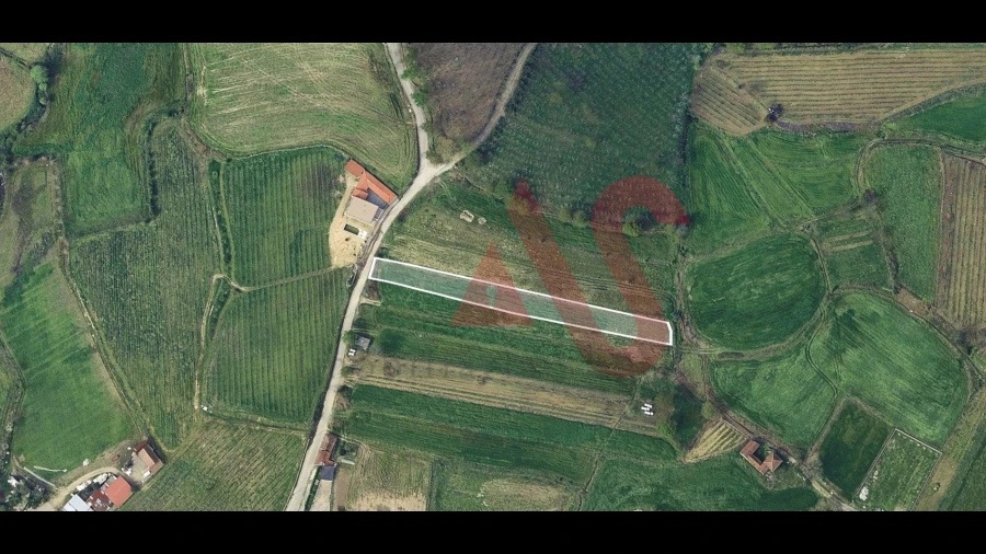 Terreno para Venda em Silvares, Pias, Nogueira e Alvarenga