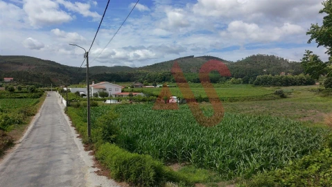 Terreno para Venda em Silvares, Pias, Nogueira e Alvarenga