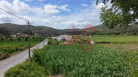 Terreno para Venda em Silvares, Pias, Nogueira e Alvarenga
