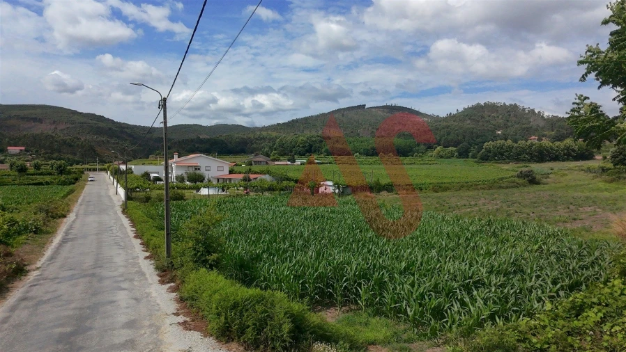 Terreno para Venda em Silvares, Pias, Nogueira e Alvarenga Foto 3
