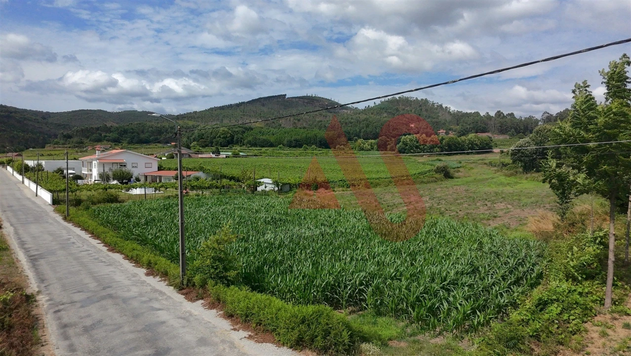 Terreno para Venda em Silvares, Pias, Nogueira e Alvarenga Foto 2