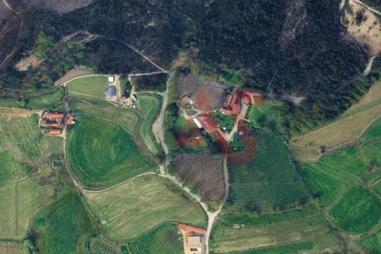 Terreno para Venda em Silvares, Pias, Nogueira e Alvarenga Foto 2