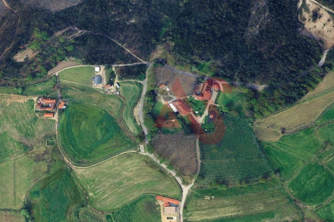 Terreno para Venda em Silvares, Pias, Nogueira e Alvarenga Foto 2
