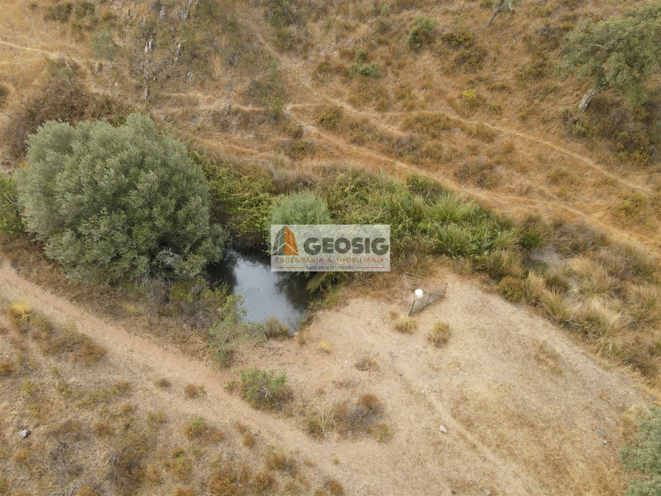 Quinta T3 para Venda em Almodôvar e Graça dos Padrões Foto 8