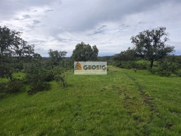 Quinta T3 para Venda em Almodôvar e Graça dos Padrões