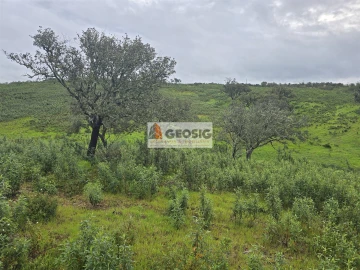 Quinta T3 para Venda em Almodôvar e Graça dos Padrões