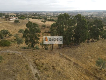 Quinta T3 para Venda em Almodôvar e Graça dos Padrões