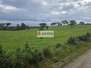 Quinta T3 para Venda em Almodôvar e Graça dos Padrões