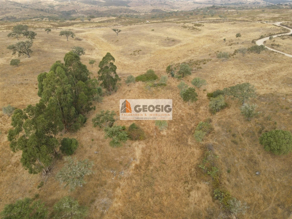 Quinta T3 para Venda em Almodôvar e Graça dos Padrões Foto 9