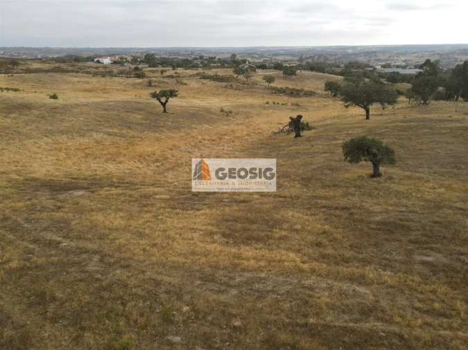 Quinta T3 para Venda em Almodôvar e Graça dos Padrões Foto 16