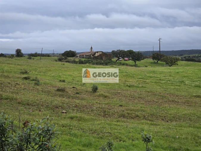 Quinta T3 para Venda em Almodôvar e Graça dos Padrões Foto 21