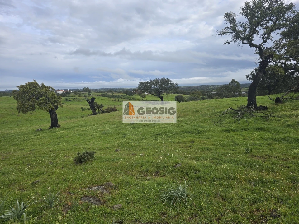 Quinta T3 para Venda em Almodôvar e Graça dos Padrões Foto 25