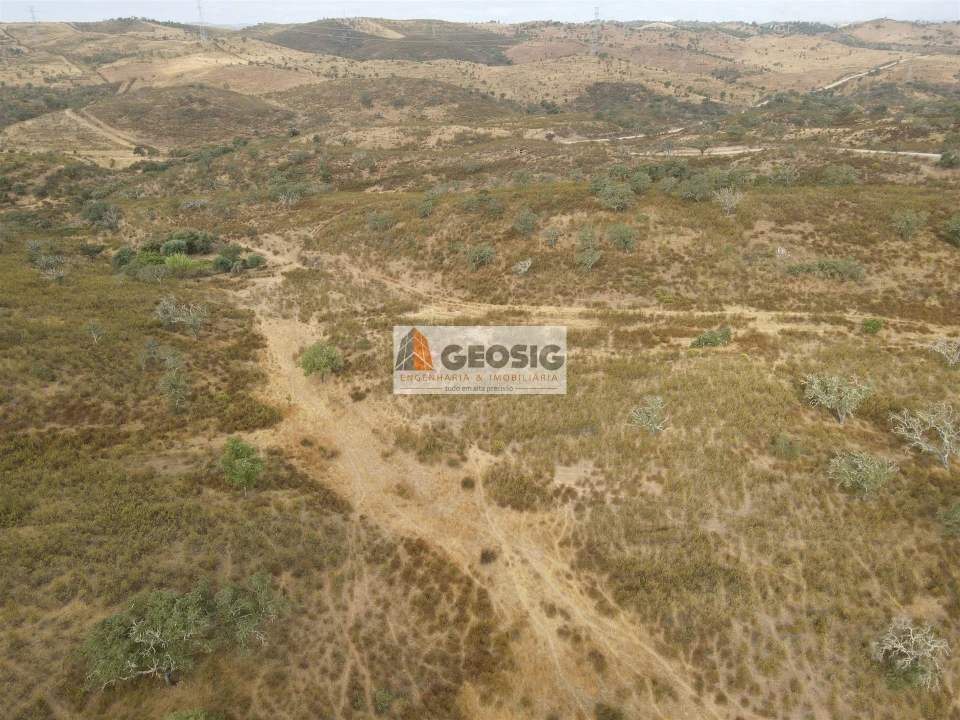 Quinta T3 para Venda em Almodôvar e Graça dos Padrões Foto 19