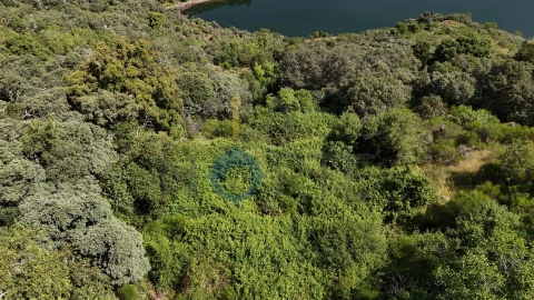 Terreno Agricola ou Rústico para Venda em Vilar Chão