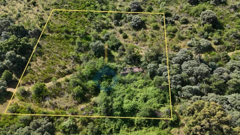 Terreno Agricola ou Rústico para Venda em Vilar Chão