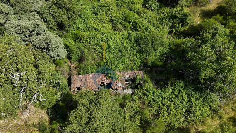 Terreno Agricola ou Rústico para Venda em Vilar Chão Foto 5