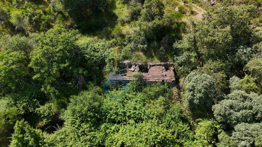 Terreno Agricola ou Rústico para Venda em Vilar Chão Foto 4