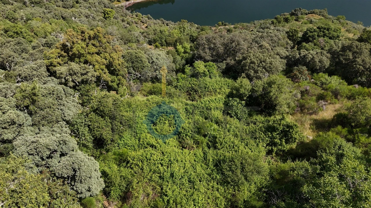 Terreno Agricola ou Rústico para Venda em Vilar Chão Foto 7