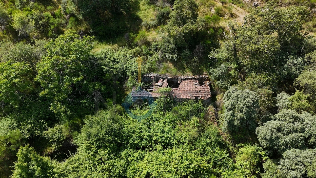 Terreno Agricola ou Rústico para Venda em Vilar Chão Foto 4