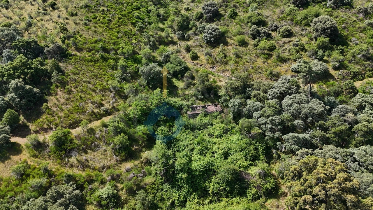 Terreno Agricola ou Rústico para Venda em Vilar Chão Foto 6