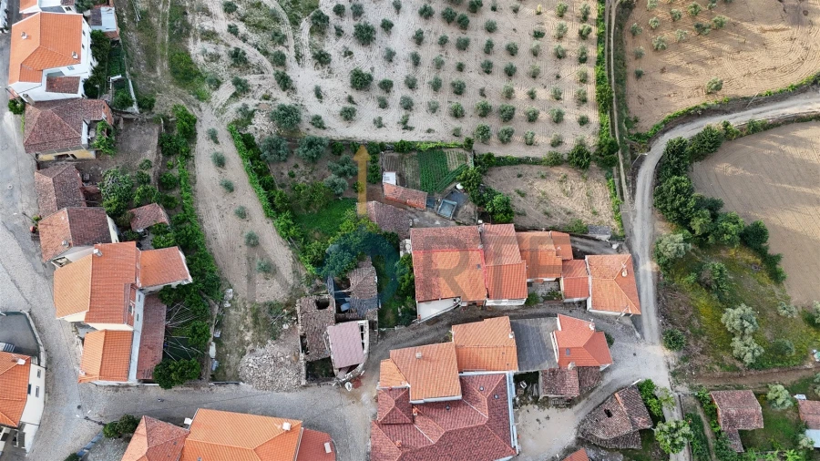 Armazém para Venda em Agrobom, Saldonha e Vale Pereiro Foto 7