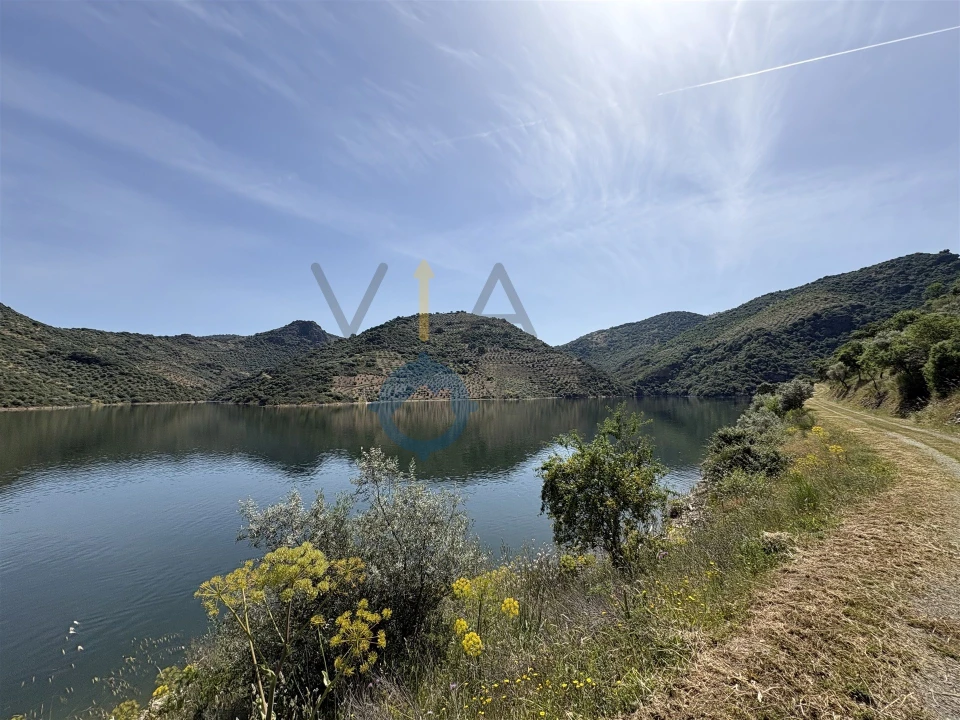 Terreno Agricola ou Rústico para Venda em Vilar Chão Foto 10