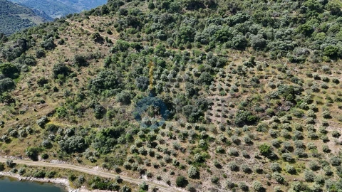 Terreno Agricola ou Rústico para Venda em Vilar Chão