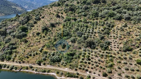 Terreno Agricola ou Rústico para Venda em Vilar Chão