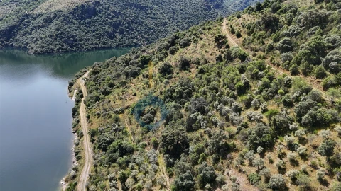 Terreno Agricola ou Rústico para Venda em Vilar Chão